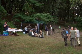 2010bar