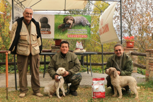 gubbio17-02