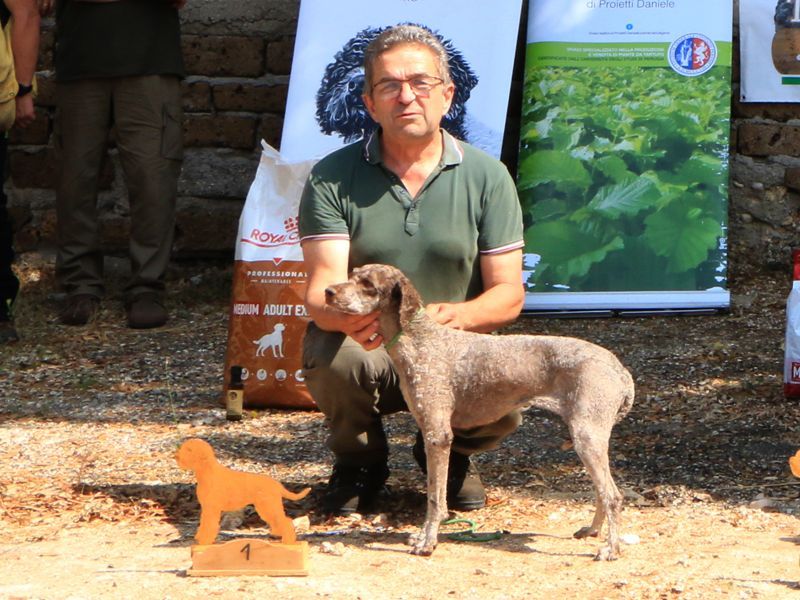 terni25-02